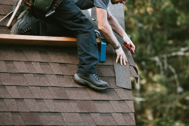 Roof Gutter Cleaning in Pulaski, WI